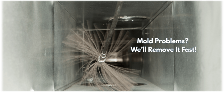 Air Duct Mold Removal in Naperville