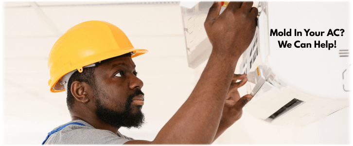 HVAC Mold Removal Naperville